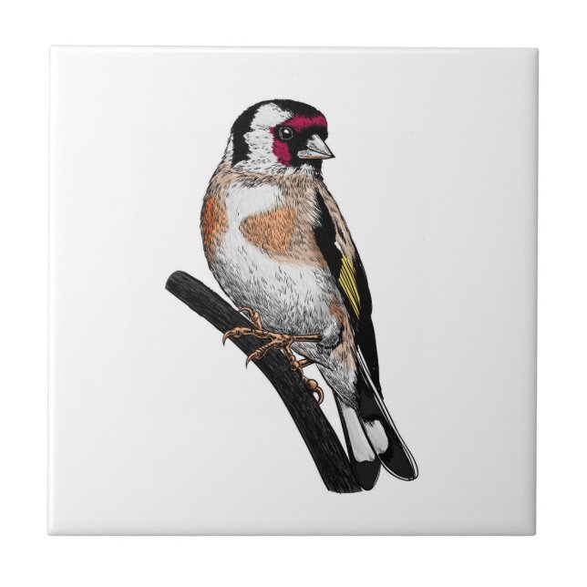 Goldfinch drawing ceramic tile (Front)