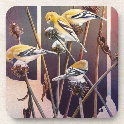 Goldfinch  Dried Coneflower Watercolor Art Beverage Coaster