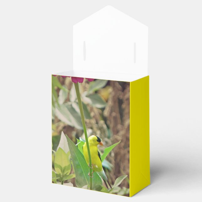 Goldfinch Favor Boxes (Opened)