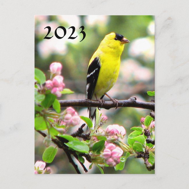 Goldfinch Flowers 2023 Calendar on Back Postcard