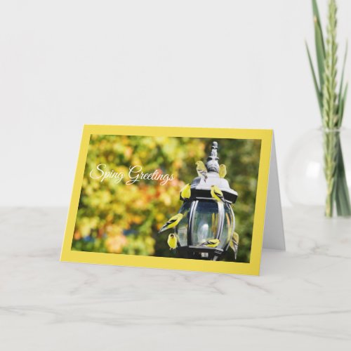 Goldfinch Greeting Card