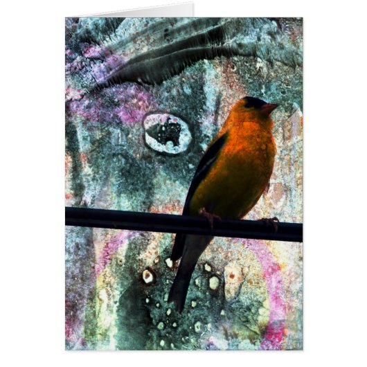 Goldfinch Grunge Cards (Front)