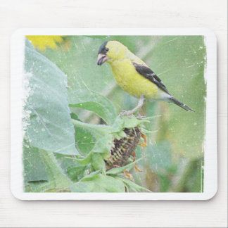 Goldfinch Grunge Mouse Pad