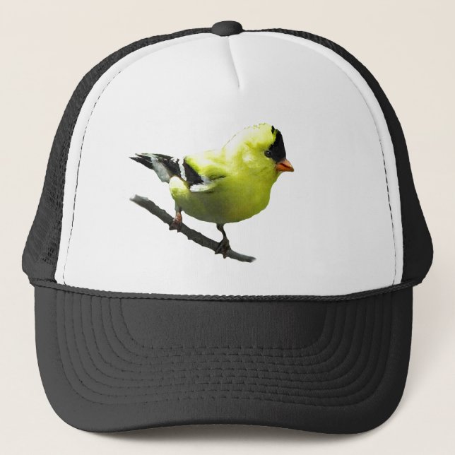 Goldfinch hat (Front)