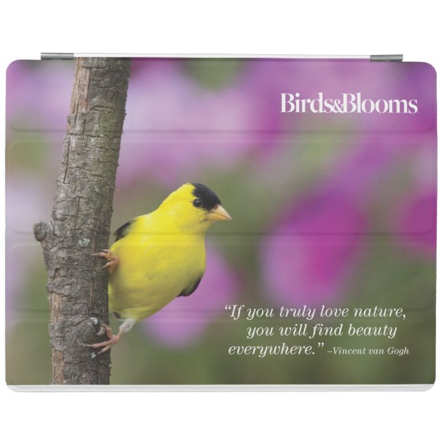 Goldfinch iPad Air Cover (Horizontal)