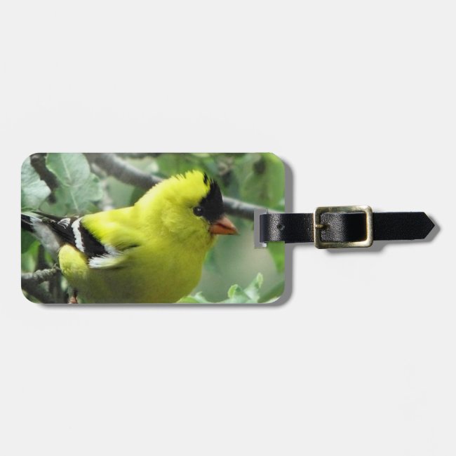 Goldfinch Luggage Tag
