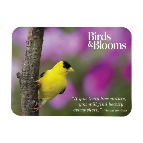 Goldfinch Magnet