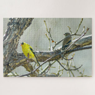 Goldfinch Male and Female Bird Lover Jigsaw Puzzle