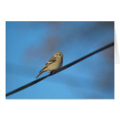 Goldfinch note card (Front Horizontal)
