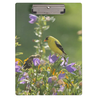 Goldfinch on a Harebell Flower Clipboard