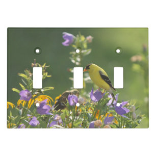 Goldfinch on a Harebell Flower Light Switch Cover