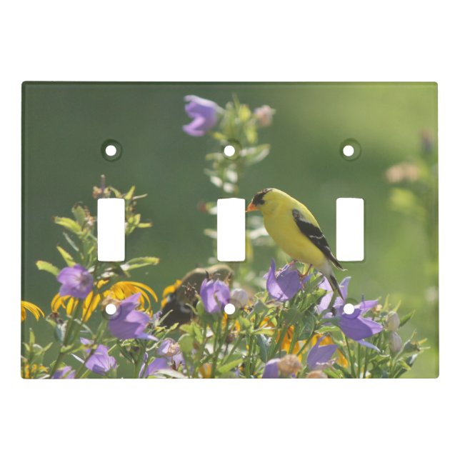 Goldfinch on a Harebell Flower    Light Switch Cover (Front)