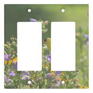 Goldfinch on a Harebell Flower Light Switch Cover
