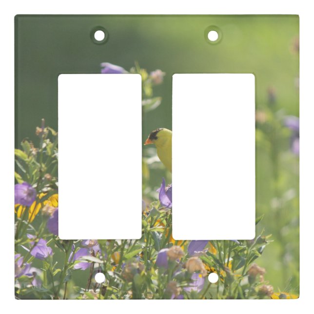 Goldfinch on a Harebell Flower      Light Switch Cover (Front)