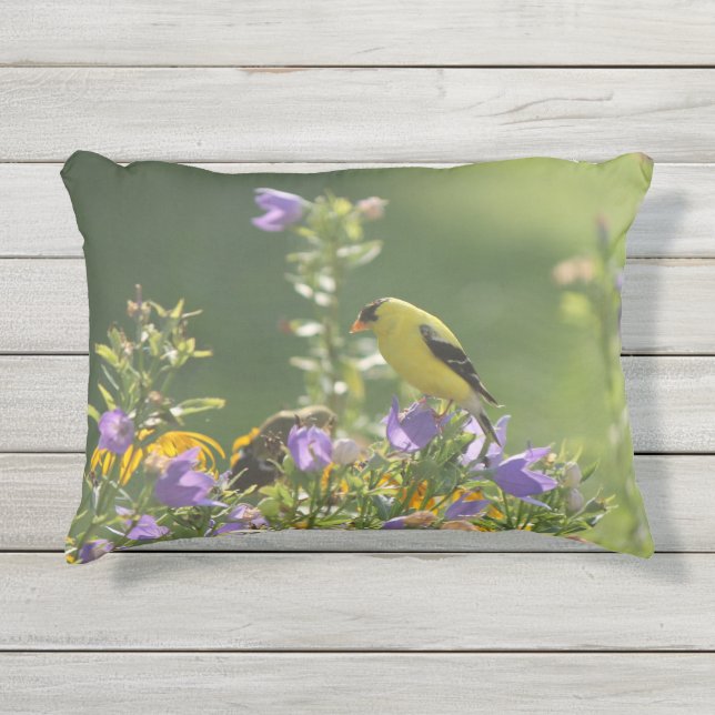 Goldfinch on a Harebell Flower Outdoor Pillow (Front)