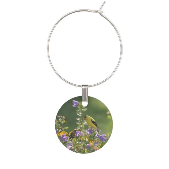 Goldfinch on a Harebell Flower    Wine Charm (Front)