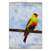 Goldfinch on Power Line (Front)