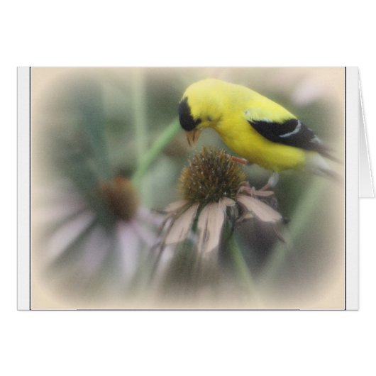 Goldfinch on Thistle Cards (Front Horizontal)
