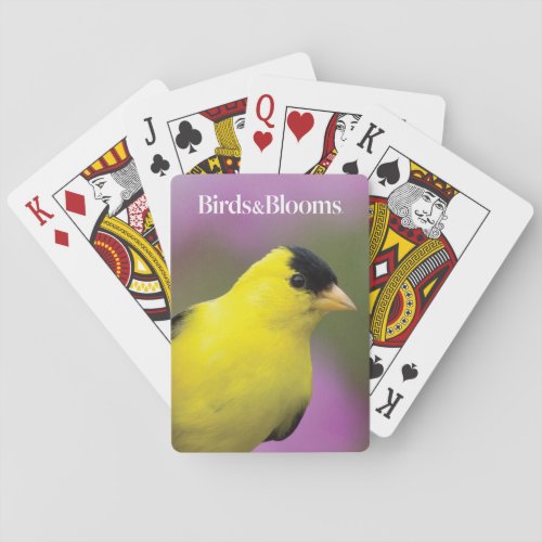 Goldfinch Playing Cards