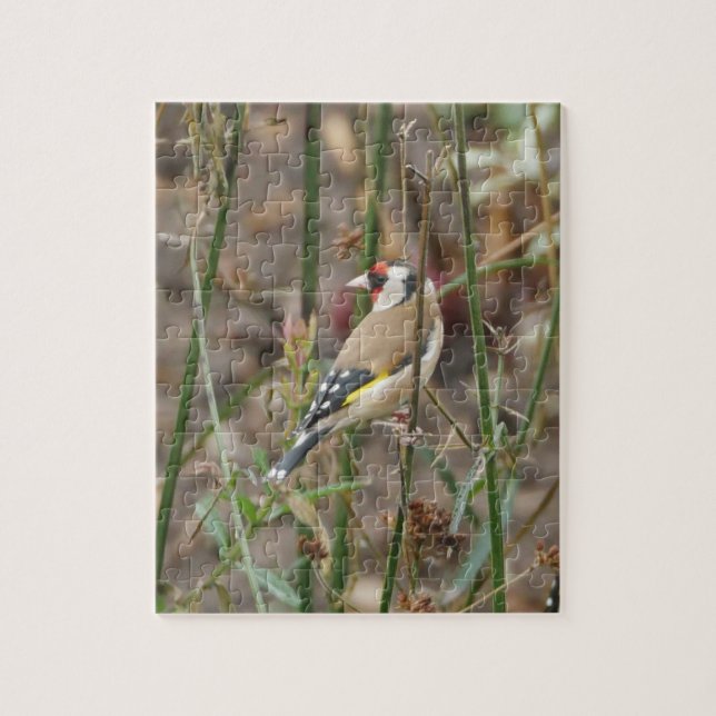 Goldfinch Puzzle (Vertical)