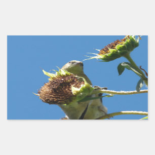 Goldfinch Rectangular Sticker