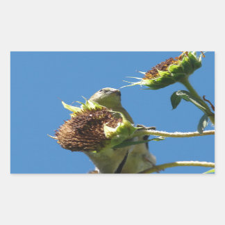 Goldfinch Rectangular Sticker