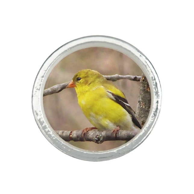 Goldfinch Ring (Front)