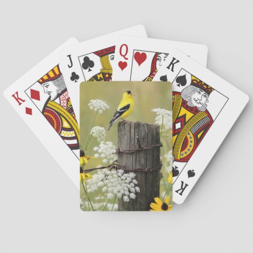 Goldfinch Singing on a Fence Post Poker Cards