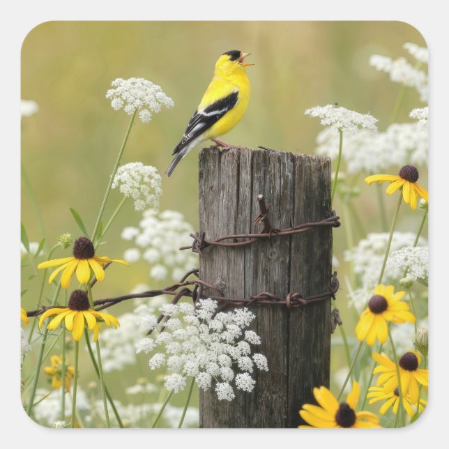 Goldfinch Singing on a Fence Post Square Sticker (Front)