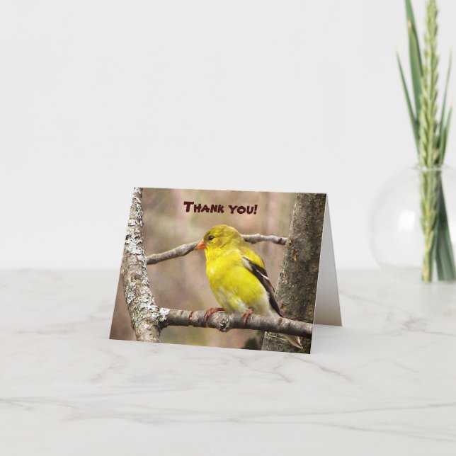 Goldfinch Thank You (Front)