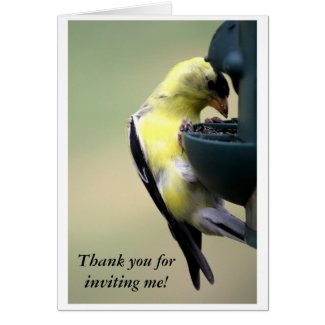 Goldfinch Thank You for Inviting Me Greeting Card