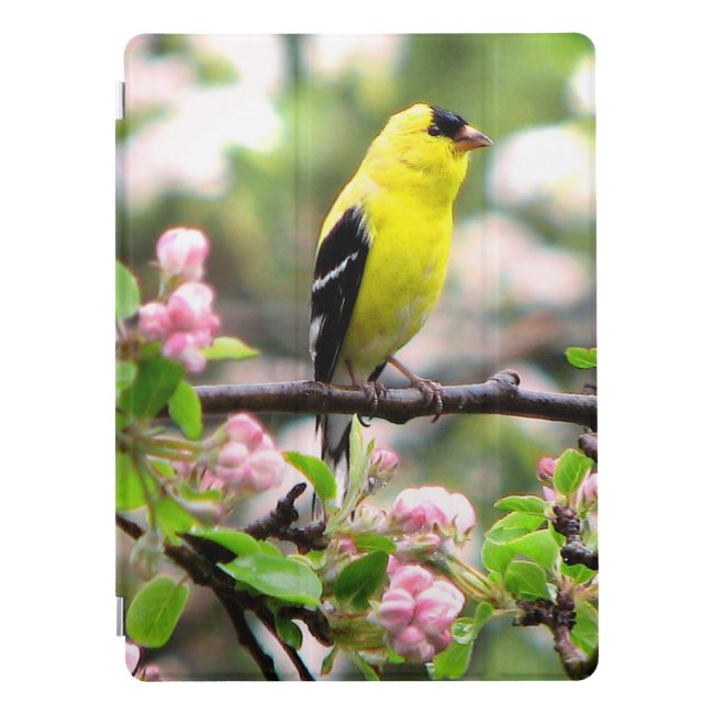 Goldfinch with Pink Flowers 12.9 iPad Pro Case