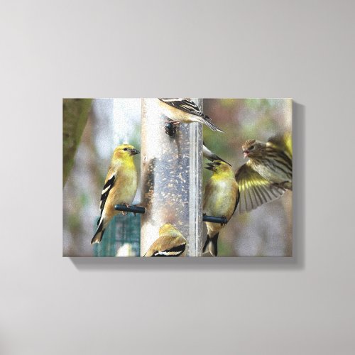 Goldfinches at the Feeder Canvas Print