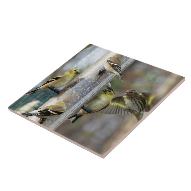 Goldfinches at the Feeder Ceramic Tile (Side)