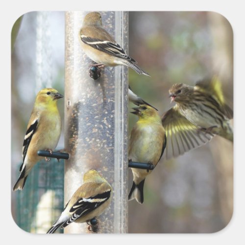 Goldfinches at the Feeder Square Sticker