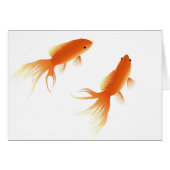 GOLDFISH (Front Horizontal)