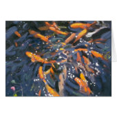 Goldfish 2010 (Front Horizontal)