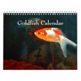 2024 Wall Calendar 2024 Betta Calendar 2024 Wall Calendar Printable 2024  Calendar Betta Fish Calendar Wall Calendar Betta Fish Aquarium Fish -   Canada