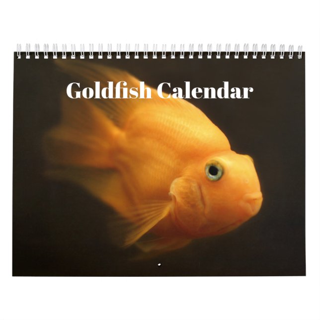 Goldfish 2027 calendar (Cover)
