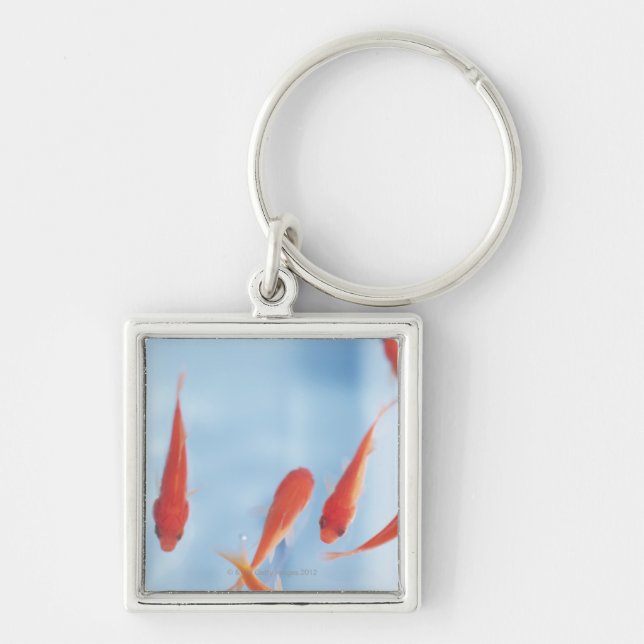 Goldfish 2 keychain (Front)
