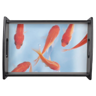 Goldfish 2 serving tray
