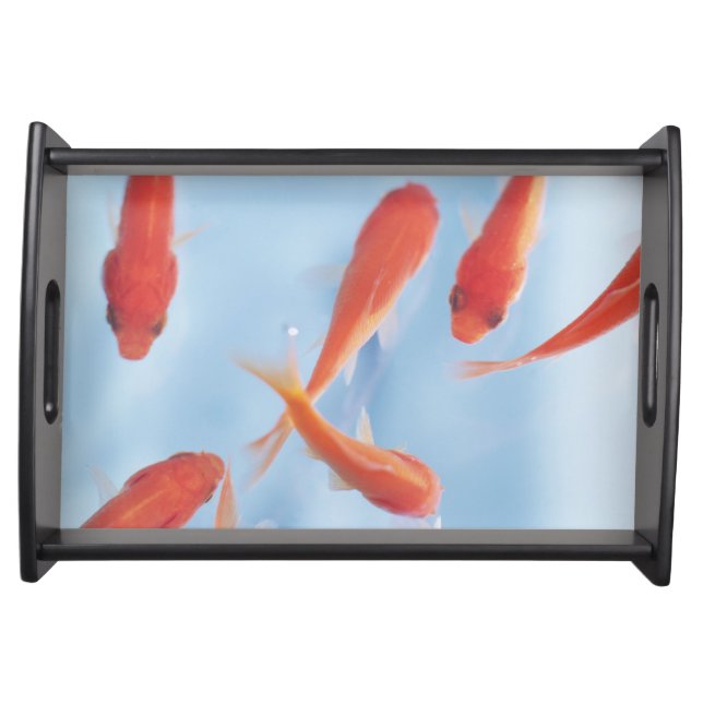 Goldfish 2 serving tray (Front)
