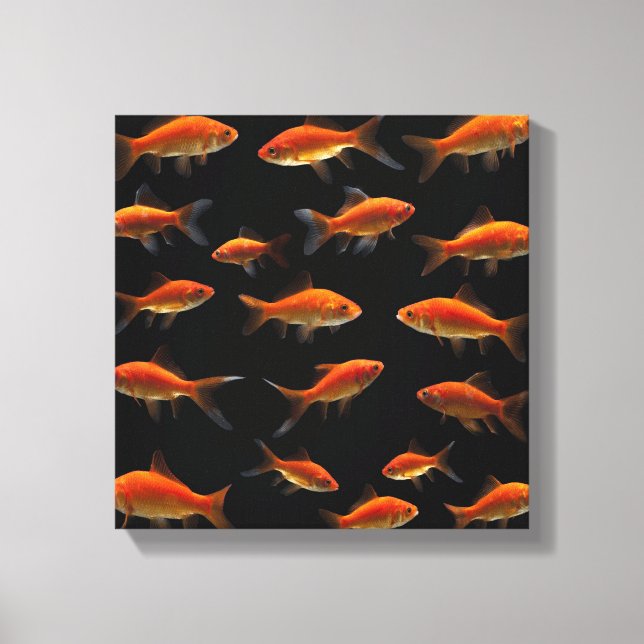 Goldfish 3 canvas print (Front)