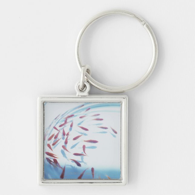 Goldfish 6 keychain (Front)