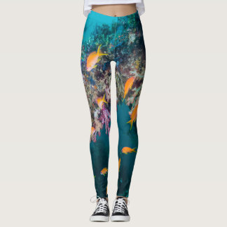 Goldfish Anthias Leggings