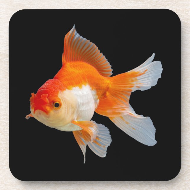 Goldfish Beverage Coaster (Front)