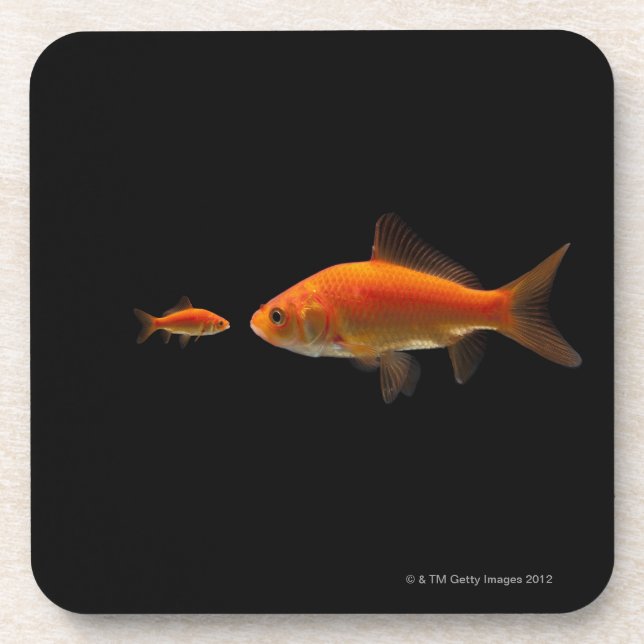 Goldfish Beverage Coaster (Front)
