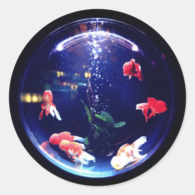 Goldfish bowl aquarium sticker (Front)