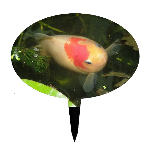 Goldfish Cake Pick (Front)