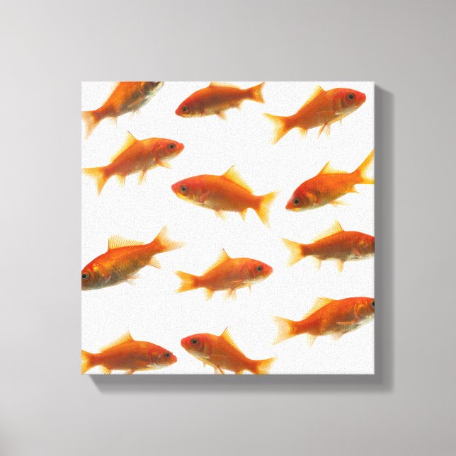 Goldfish Canvas Print (Front)